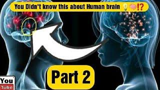 Top 5 Facts About Human Brain [Part 2]