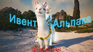 Black Desert Как получить альпаку Зимняя рыбалка на льду! [Ивент] Пушистик