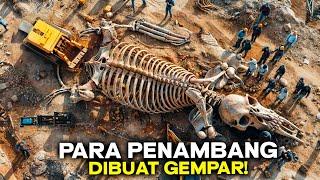 Awalnya Dikira Cuman Batu Gunung Ternyata... Penemuan Makhluk Raksasa yang Pernah Hidup di Bumi