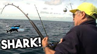 Wanna catch a SHARK?! | TAFishing