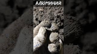 Алюминиевые находки. КОП МЕТАЛЛА В ЛЕСУ И ОГОРОДЕ МОЖЕТ ПРИНЕСТИ ЗОЛОТО, МОНЕТЫ #shorts