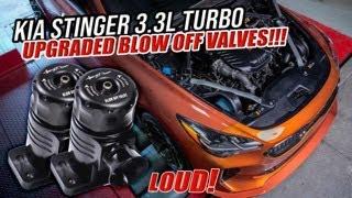 Kia Stinger GT 3.3L Turbo LOUD Blow-Off Sounds with Vivid Racing