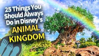 25 Things You Should Always Do in Disney's Animal Kingdom