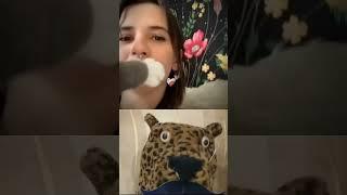 w rizz cat