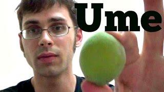 Ume & Umeboshi Review - Weird Fruit Explorer Ep. 58