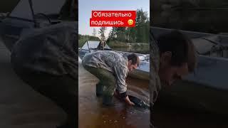 Отпустил трофейную щуку