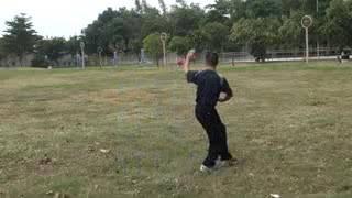 Baguazhang. Form and applications.