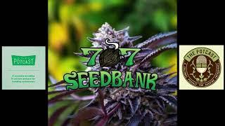 Episode 29 ft Shahbud of 707 seedbank - The Pot Cast - 29/09/18