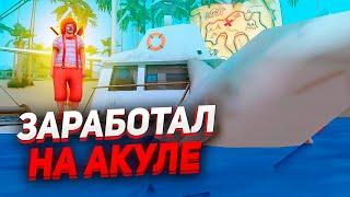 СЛОВИЛ БОЛЬШУЮ АКУЛУ за МНОГО ДЕНЕГ! GTA SAMP - PEARS PROJECT