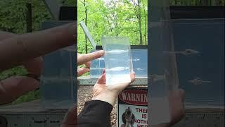 New Fiocchi CovertX - Ballistic Gel Test - 9mm VS .38 Special+P