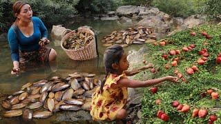 Pick a lot shell and natural fruit at river- Mother cooking shell spicy for dinner with daughter