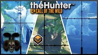 A Grizzly Hunt with Rare's and a Diamond!  The Hunter Call of The Wild