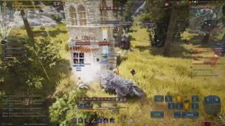 Black Desert, Ninja 57 lvl, Toshiq, Ru ftp srv. Node war 01.07.2016