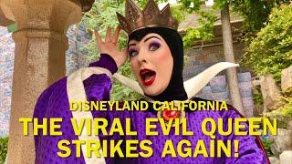 NEW: The Viral Evil Queen Strikes Again! EPIC Roasts and Insults—Disneyland 2023 #disney