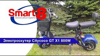 Электроскутер Citycoco GT X1 800W, обзор характеристик - smart8.by