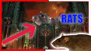 Two Rats | In SIlence