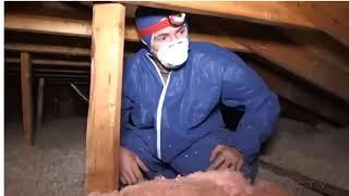 CTV Kitchener-How to Prevent Wildlife Intrusions with Skedaddle Humane Wildlife Control