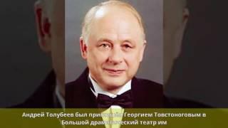 Толубеев, Андрей Юрьевич - Биография