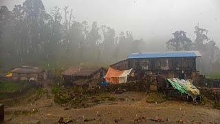 Organic Nepali Village Life | Rainy Day | Daily Activities of Remote Nepali Villagers During Monsoon