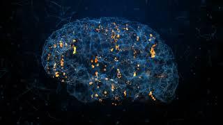 3d Footage of Human Brain in Bule Digital Background Concept of Brain Thinking | Free Stock Footage