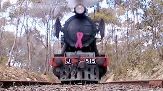 Run Over by Steam Locomotive J515 - October 2012