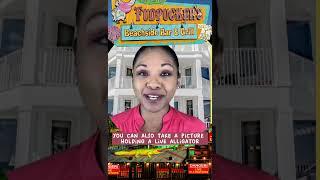 Best Restaurants in Destin FLORIDA fudpucker beach