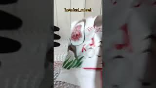 Асмр, распаковка#асмр