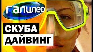 Галилео. Скубадайвинг  Scuba Diving