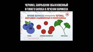 Черника, боярышник обыкновенный и гинкго билоба в лечении варикоза #черника #варикоз #боярышник