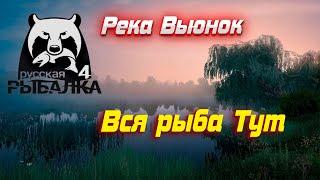 РР4 #4 Река Вьюнок. Универсальная точка для Заказов в кафе!!!