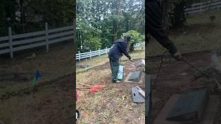 Preserving history one headstone at a time! #history #headstone #cleaning #satisfying