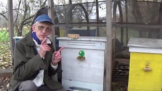 How to Stop Honeybee Robbers at Your Apiary? Simple Solution.