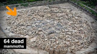 What are these enormous piles of Mammoth bones?