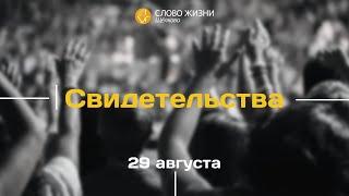 29 августа 2021 // Свидетельства