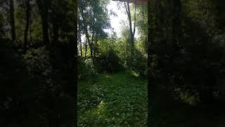 7/100 "Я просто есть, и это классно", Ирина Серебрякова