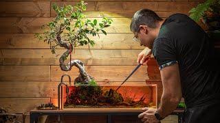 The Old Bonsai - Relaxing aquascaping tutorial (blackwater tank)