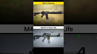 M4 or M16? Guess The Gun