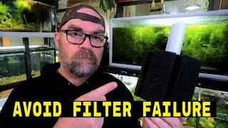 What's The Best Way To Use A Sponge Filter?