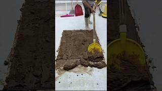 How to Deep Clean a Dirty Carpet with Several Buckets of Water