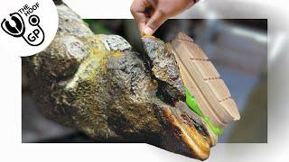 PEELING a CHUNK of hoof horn from a COW that STOOD ON SOMETHING!?