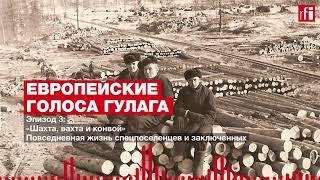 «Шахта, вахта и конвой» — повседневная жизнь спецпоселенцев и заключенных