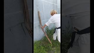 REVERSE PUNCH SHORIN RYU KARATE