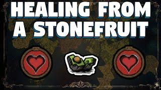 How To Heal from Stonefruit in Don't Starve Together - Stonefruit is the best food in DST