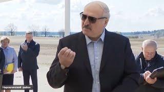 Лукашенко про карантин: Да меня на вилы поднимут люди! / Коронавирус