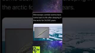 ZOMBIE WORMS Conspiracy #short