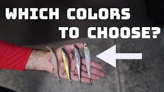 Breaking Down How We Choose Colors In The Megabass Vision 110 Jerkbaits!