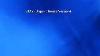 STAY (Organic house Version) BGA