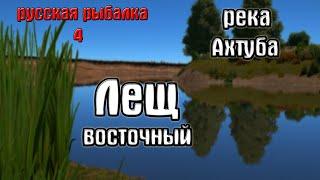 Русская рыбалка 4(рр4/rf4) - река Ахтуба. Лещ восточный.