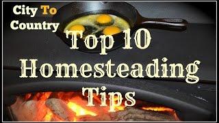 City to Country~Top 10 Homesteading Tips~