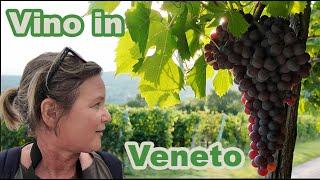 Let me take you to Veneto!